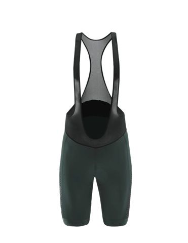 Löffler M BIKE BIBSHORTS WINNER 4.jpg